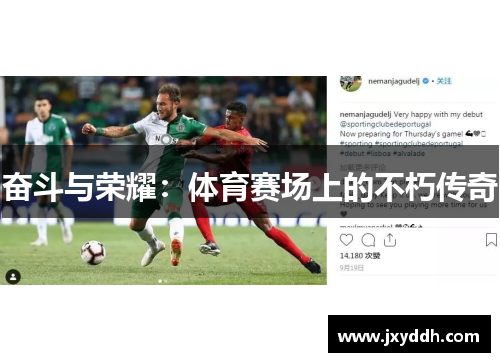 奋斗与荣耀：体育赛场上的不朽传奇